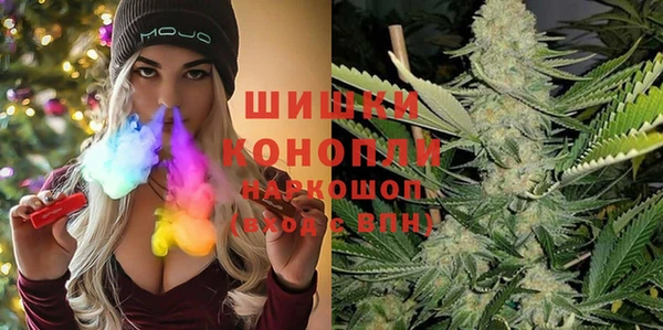 spice Зеленодольск